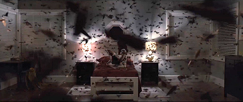 Los insectos (infestación) son una constante también en "The Possession. El origen del mal"