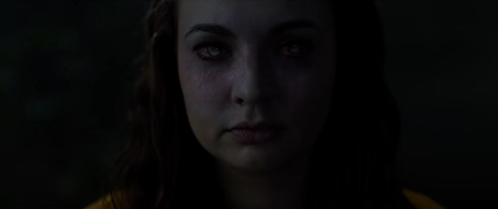 Posesiones varias en Expediente Warren: Obligado por el demonio